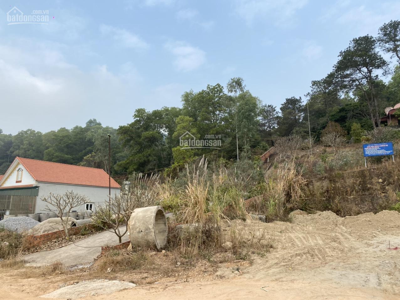 Chính chủ bán đất sát mặt đường Quốc Lộ ở ngã 3 Hùng Thắng, Hạ Long, gần dự án Hạ Long Xanh VinGroup