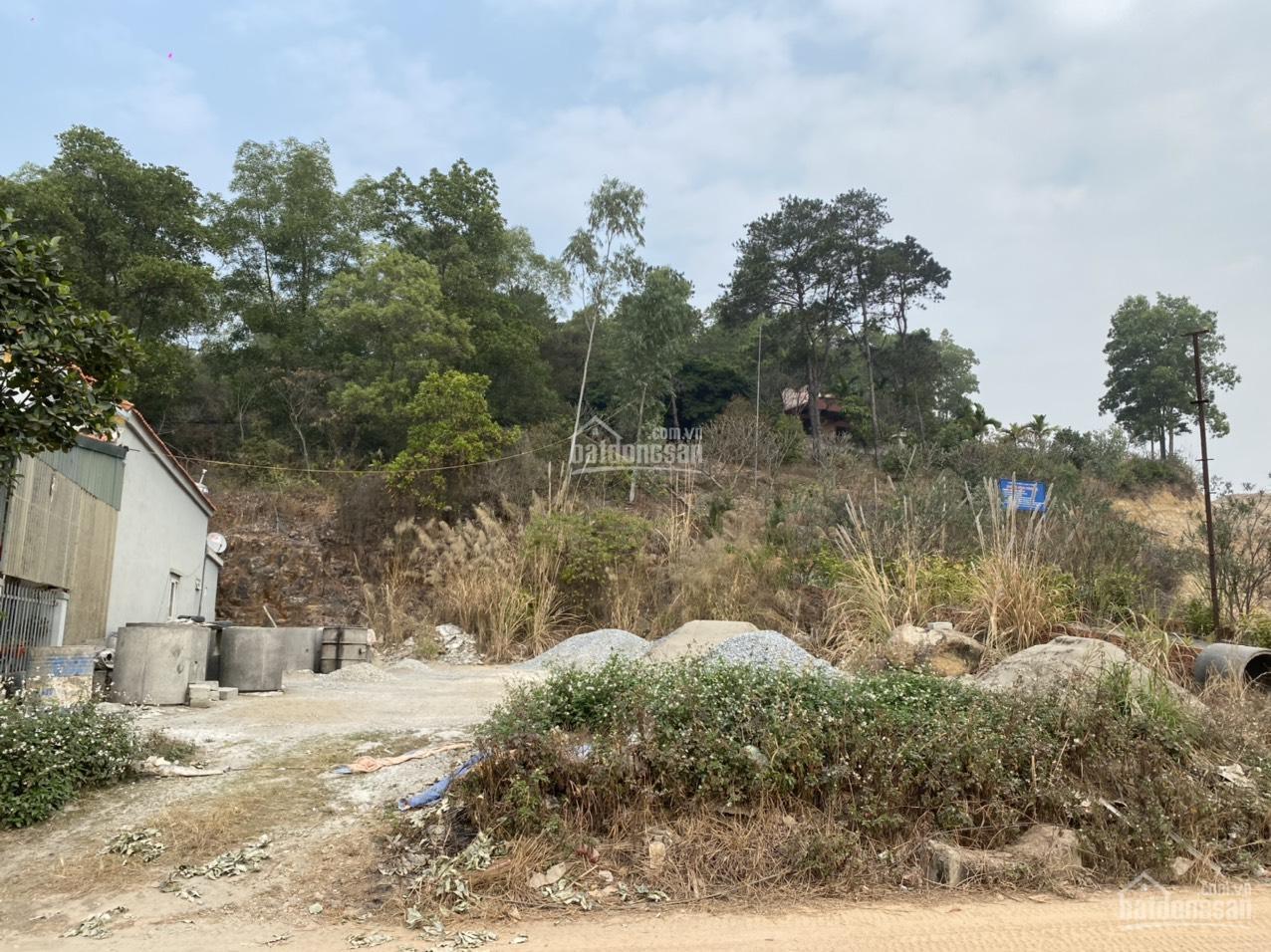 Chính chủ bán đất sát mặt đường Quốc Lộ ở ngã 3 Hùng Thắng, Hạ Long, gần dự án Hạ Long Xanh VinGroup