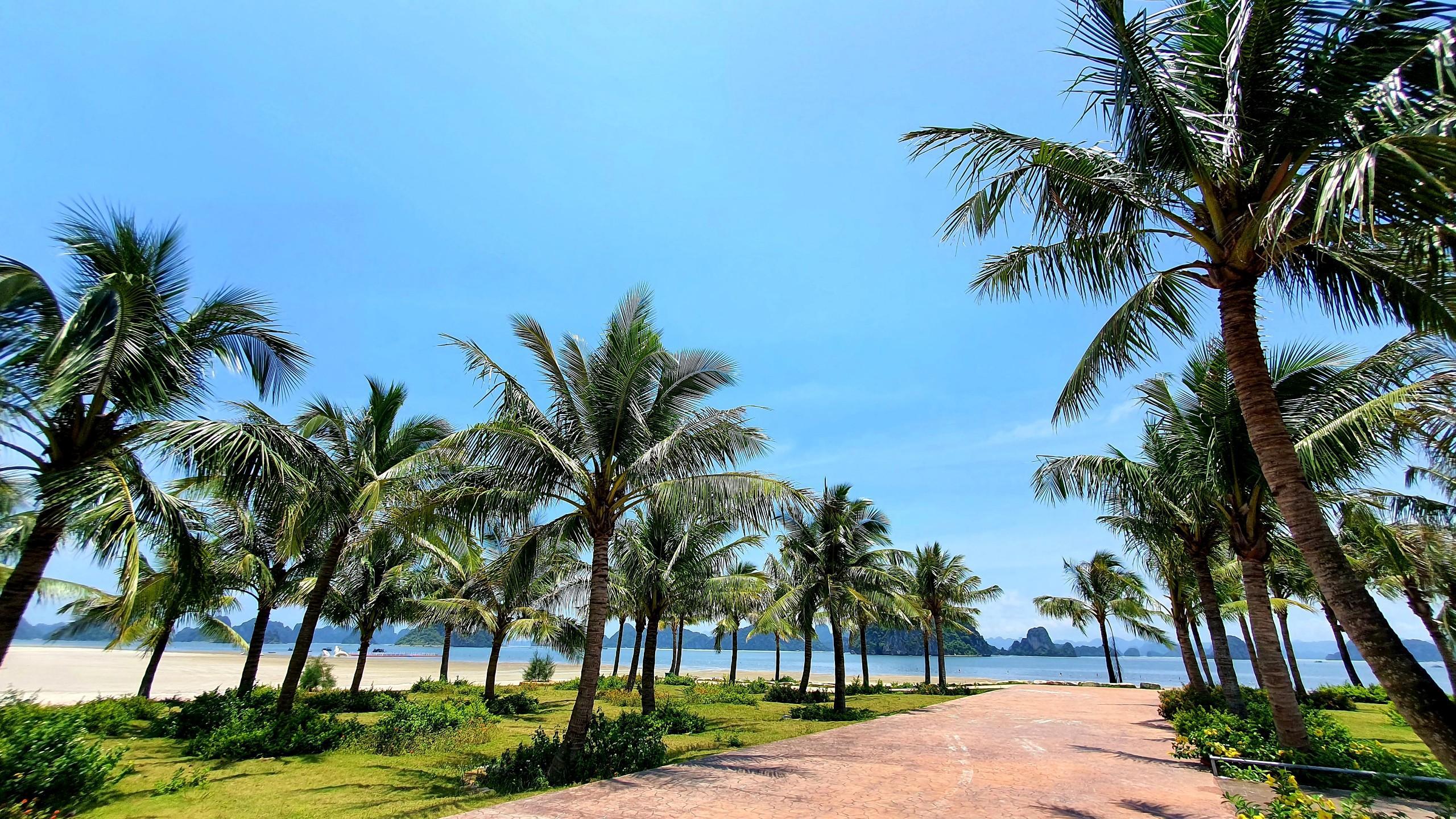 Mở bán đất LK25 – 26 Phương Đông Vân Đồn siêu đô thị biển đầu tư – nghỉ dưỡng