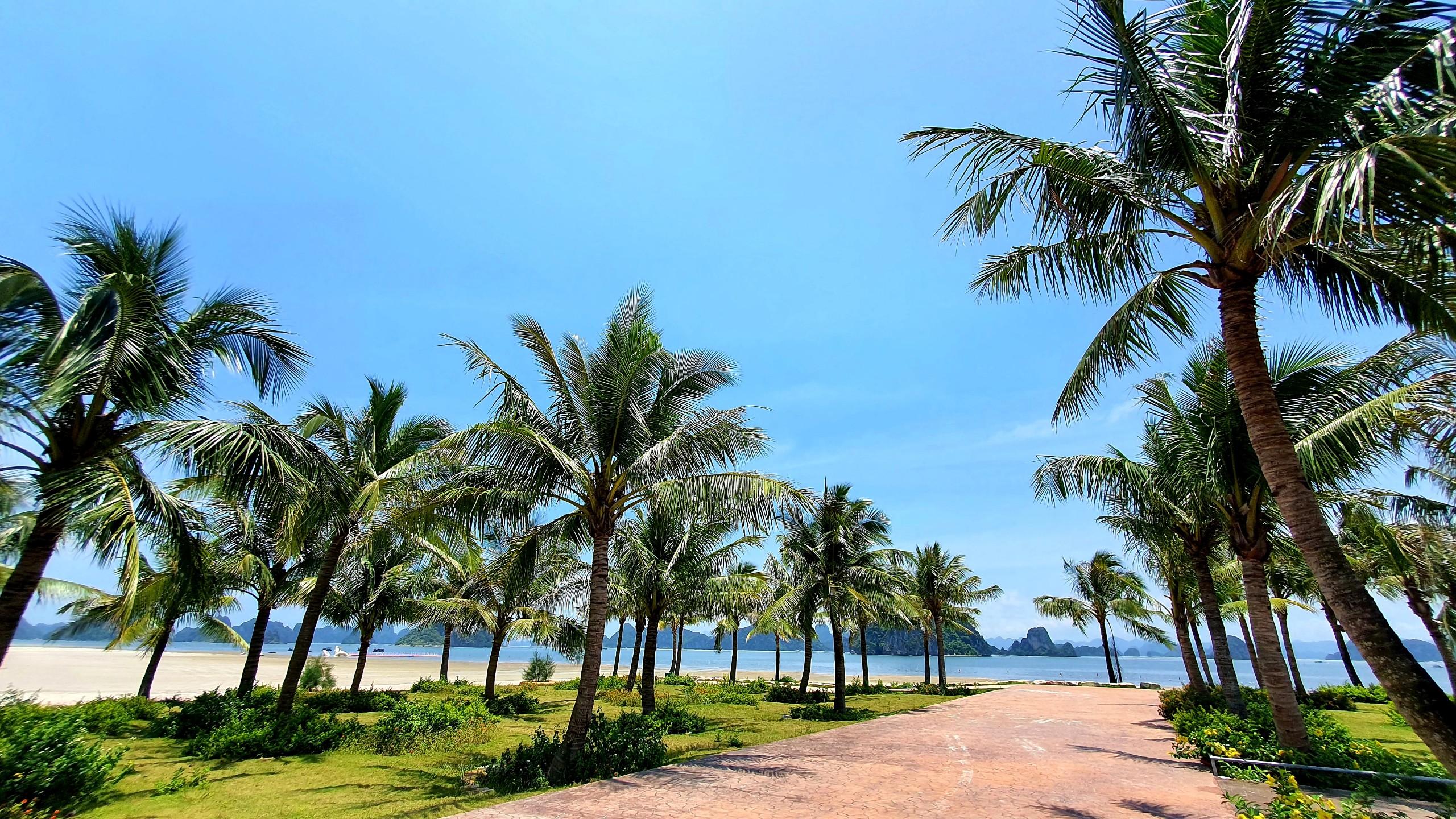 Mở bán đất LK25 – 26 Phương Đông Vân Đồn siêu đô thị biển đầu tư – nghỉ dưỡng