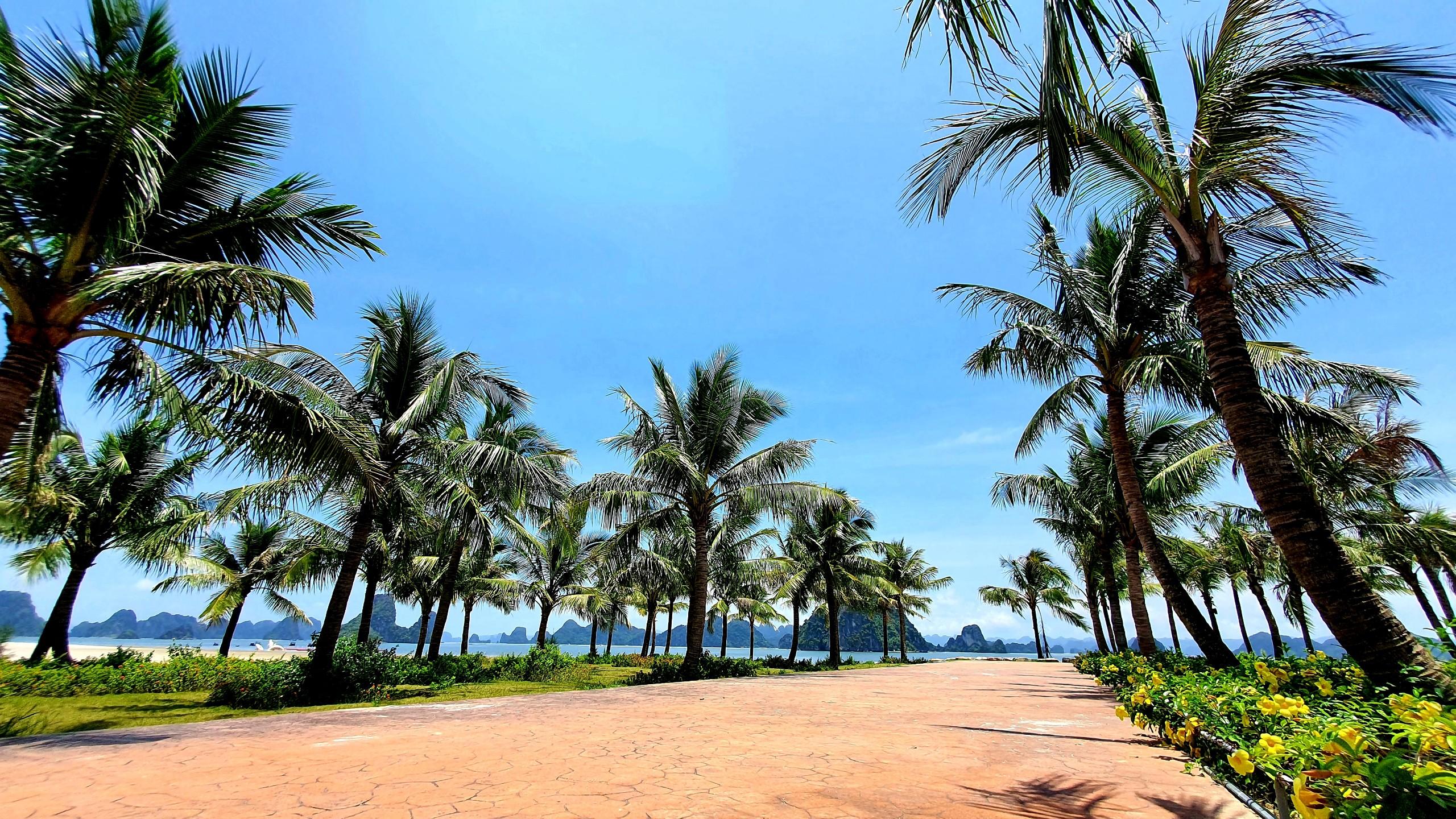 Mở bán đất LK25 – 26 Phương Đông Vân Đồn siêu đô thị biển đầu tư – nghỉ dưỡng